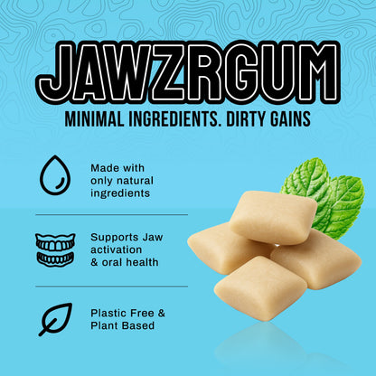 Jawzrgum - Mint Flavor 40 Pieces